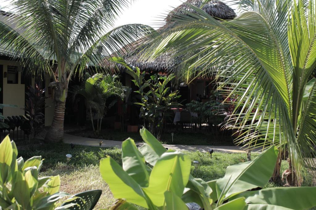 Hotel Amazon Bed And Breakfast ليتيسيا المظهر الخارجي الصورة